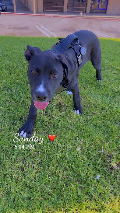 Vetco Total Care Animal Hospital Picture 9