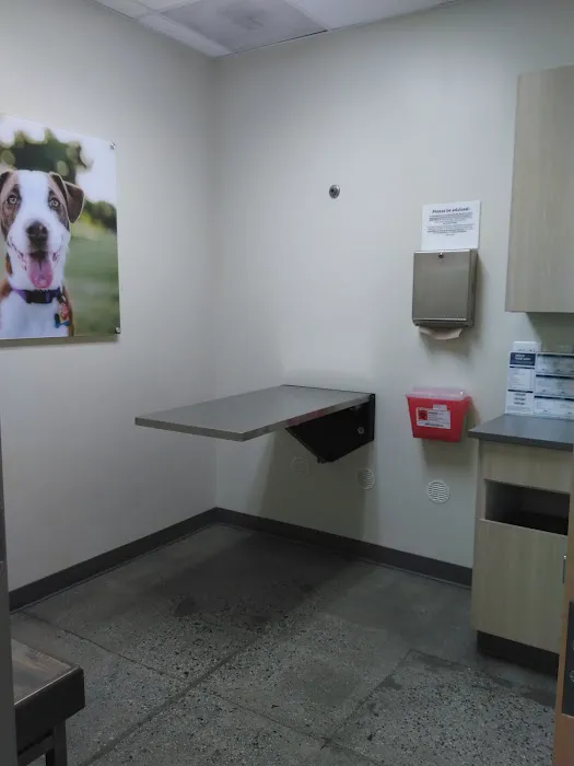 Vetco Total Care Animal Hospital Picture 10