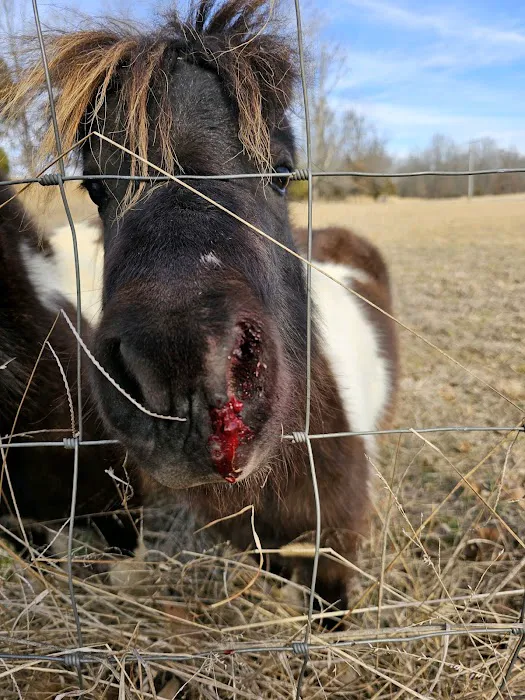 Luna Veterinary Services Picture 1