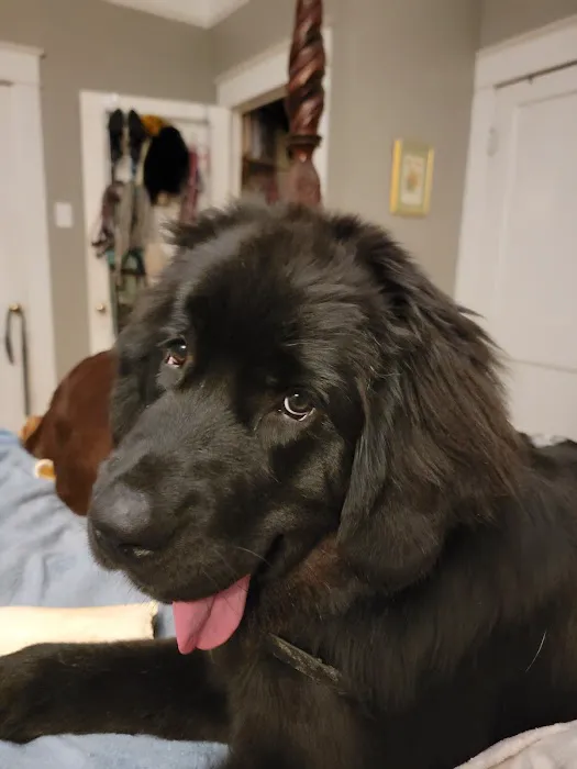 Luna Veterinary Services Picture 5