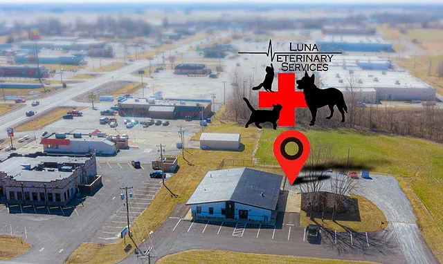 Luna Veterinary Services Picture 4