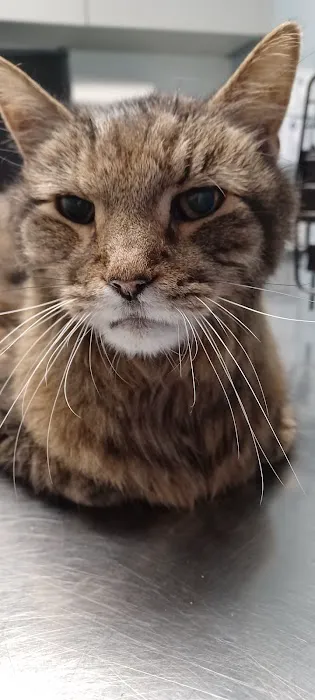 Luna Veterinary Services Picture 7