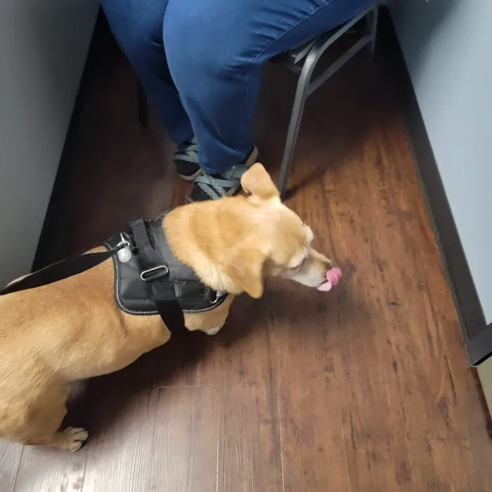 Luna Veterinary Services Picture 6