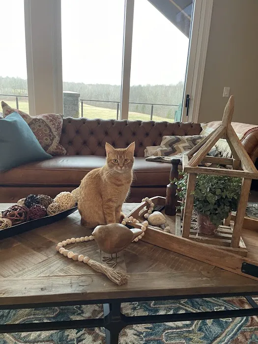 Luna Veterinary Services Picture 9