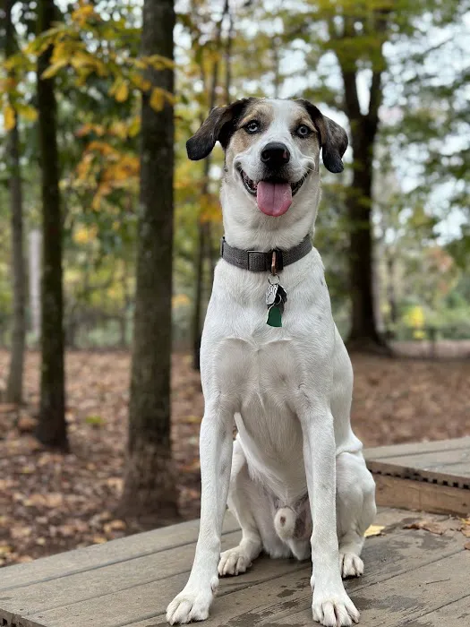 Tigertown Veterinary Hospital Picture 2