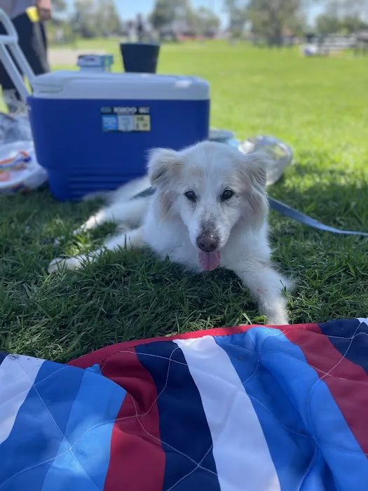 FurBuds Veterinary Picture 6