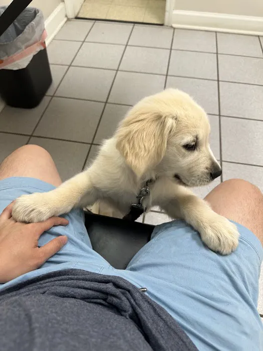 FurBuds Veterinary Picture 3