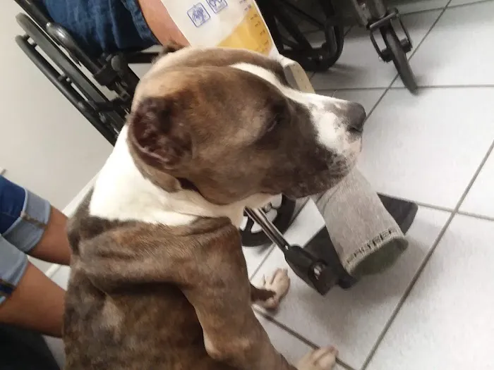 FurBuds Veterinary Picture 1