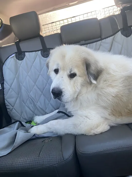 FurBuds Veterinary Picture 5