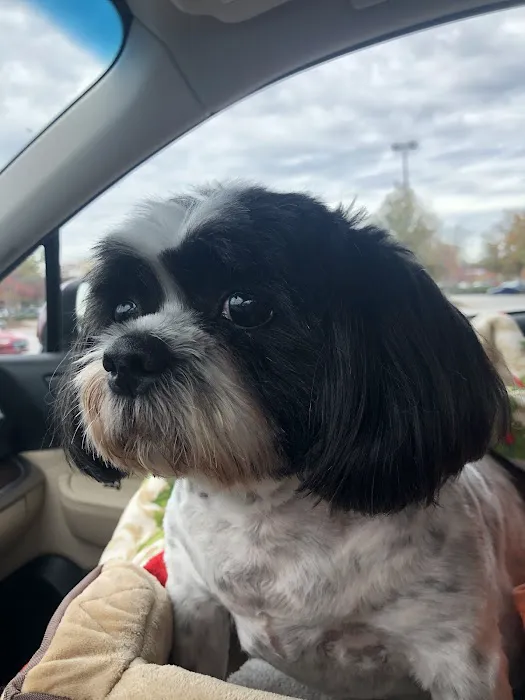 FurBuds Veterinary Picture 7