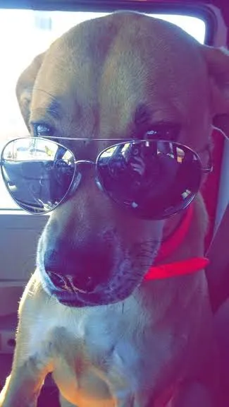 Parkway Animal Hospital Picture 6