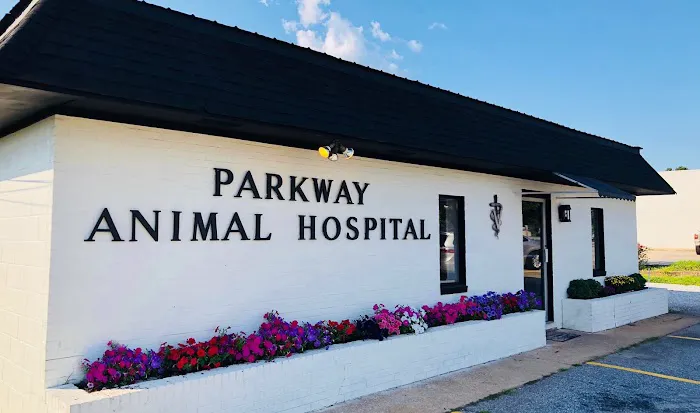 Parkway Animal Hospital Picture 8