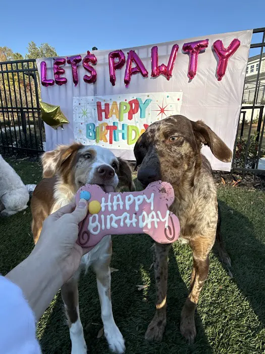 East University Veterinary Hospital Picture 2