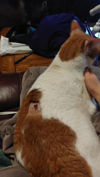 East University Veterinary Hospital Picture 5