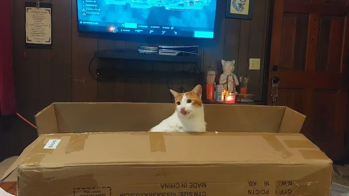 East University Veterinary Hospital Picture 3