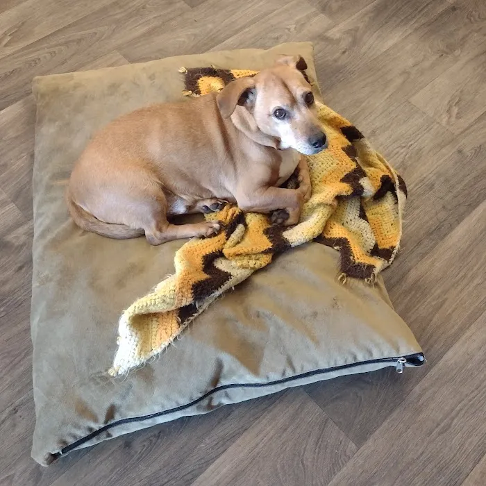 MAC Animal Clinic Picture 2