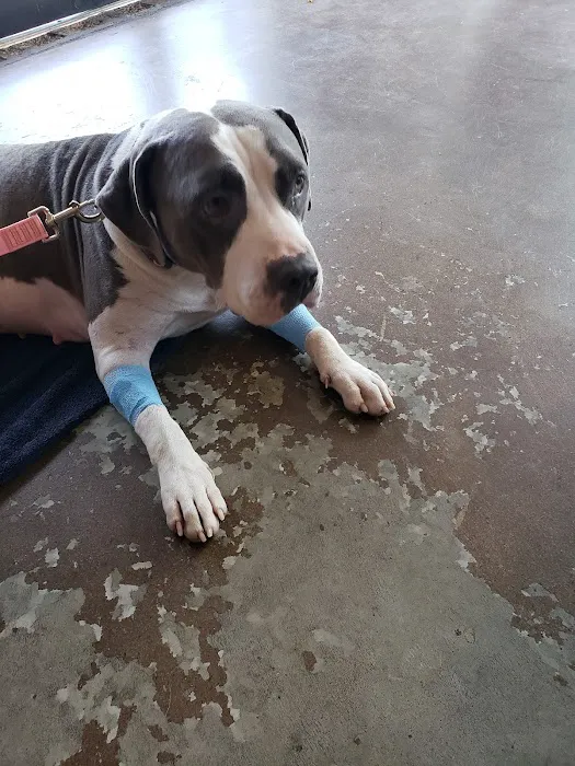 MAC Animal Clinic Picture 3