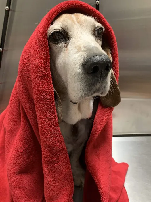 MAC Animal Clinic Picture 9