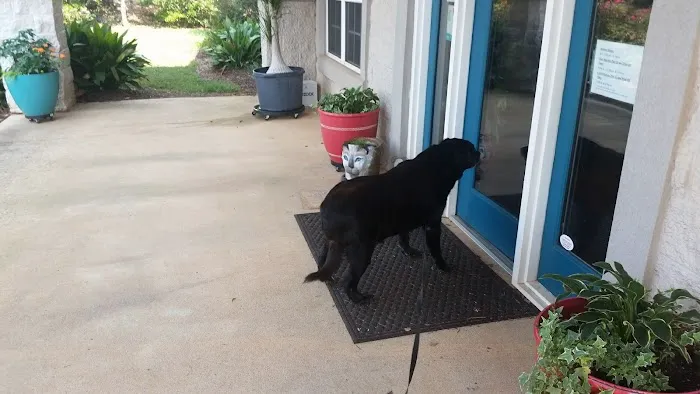 Auburn Veterinary Hospital Picture 10