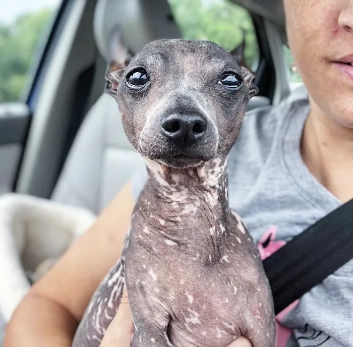 Auburn Veterinary Hospital Picture 9