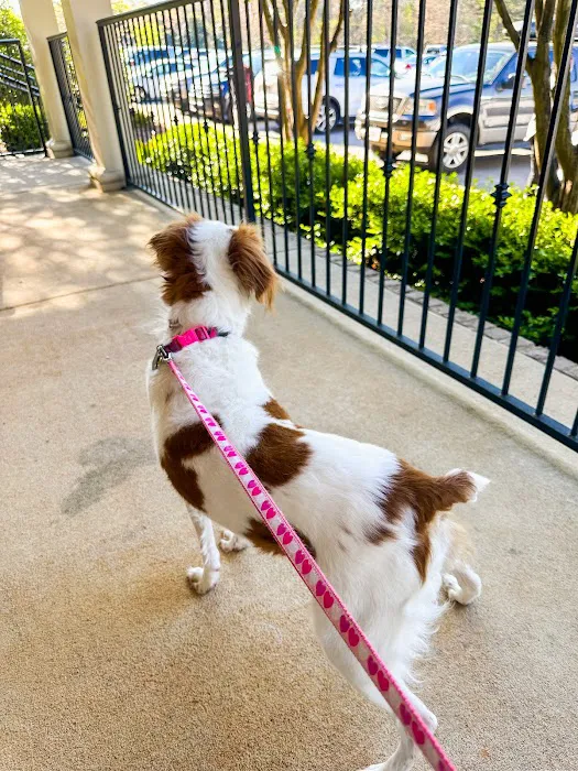 Moores Mill Animal Hospital Picture 3