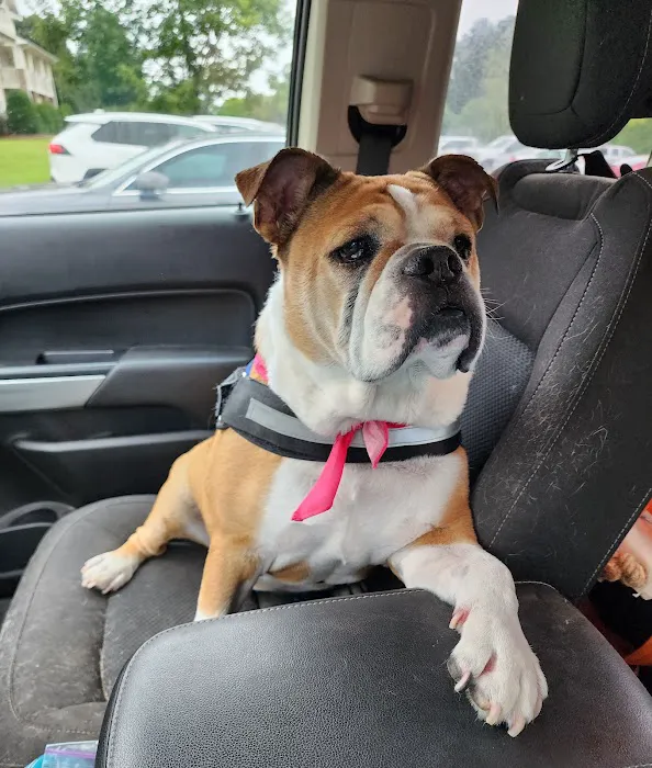 Moores Mill Animal Hospital Picture 7