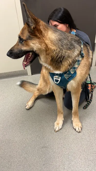 Moores Mill Animal Hospital Picture 9