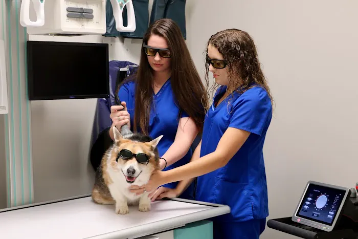 Northridge Veterinary Center Picture 1