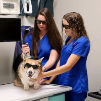 Northridge Veterinary Center ico