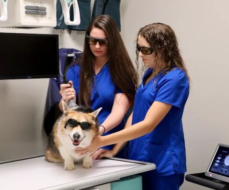 Northridge Veterinary Center
