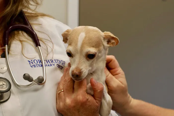 Northridge Veterinary Center Picture 7