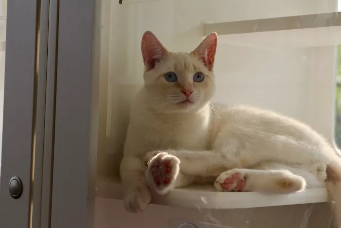 Northridge Veterinary Center Picture 9