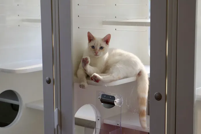 Northridge Veterinary Center Picture 6