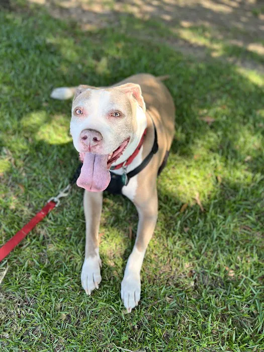 Midland Animal Hospital Picture 2