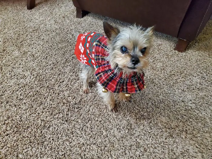 Midland Animal Hospital Picture 4