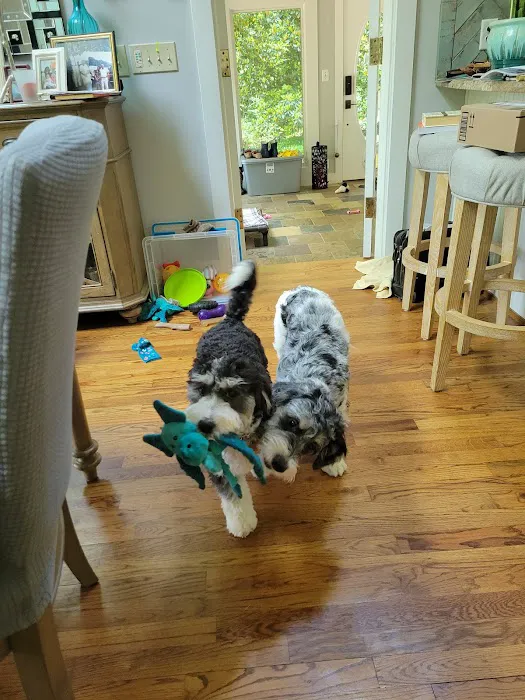 Midland Animal Hospital Picture 1