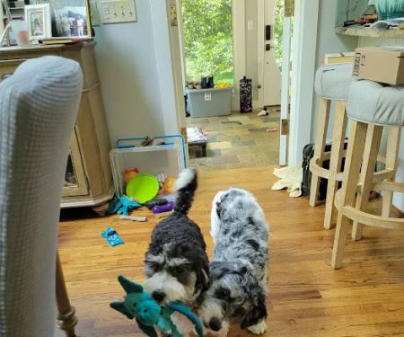 Midland Animal Hospital