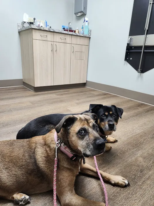 Midland Animal Hospital Picture 6