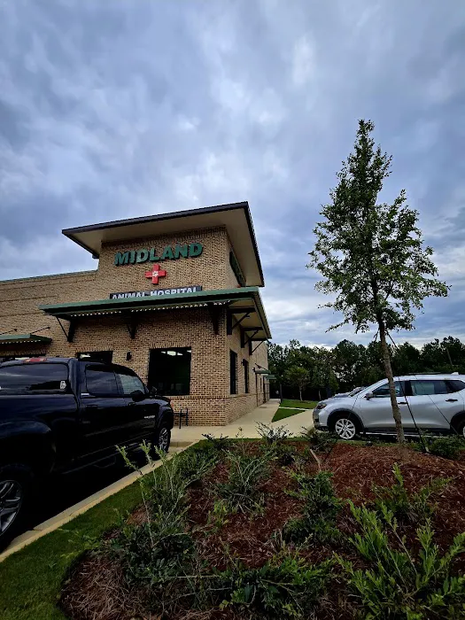 Midland Animal Hospital Picture 5