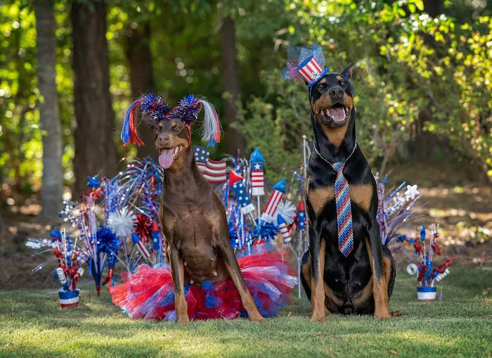 Midland Animal Hospital Picture 8