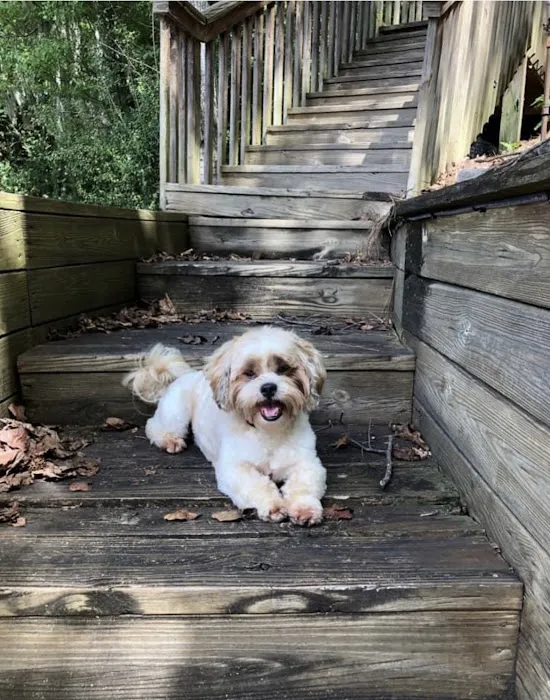 Midland Animal Hospital Picture 7