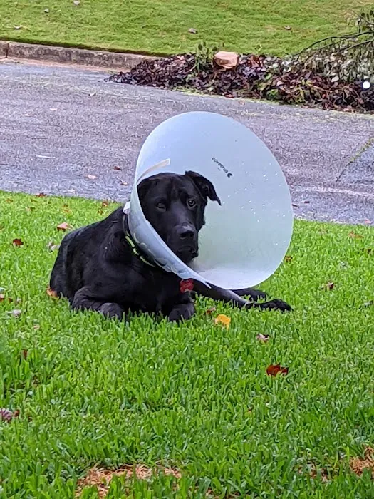 Southeastern Veterinary Specialty Center Picture 6