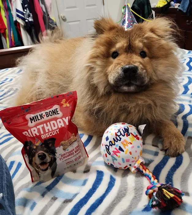 Southeastern Veterinary Specialty Center Picture 8