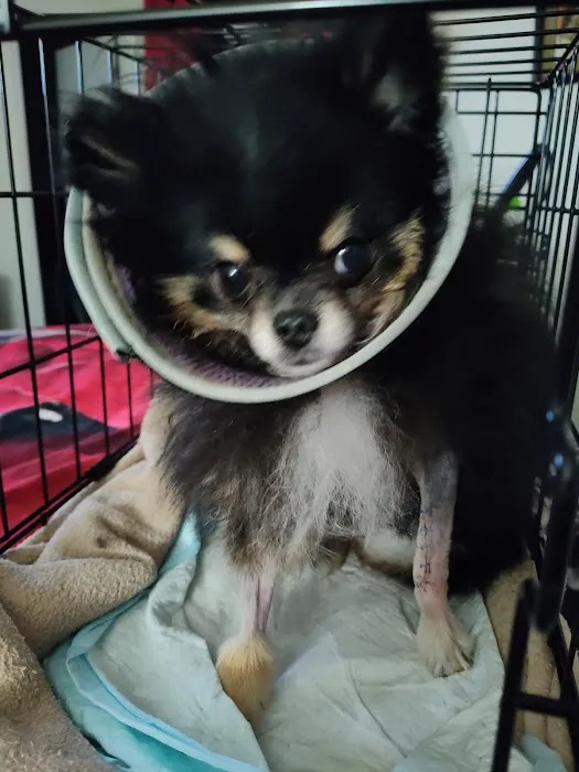 Southeastern Veterinary Specialty Center Picture 9