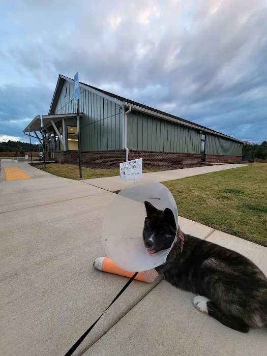 Southeastern Veterinary Specialty Center Picture 5