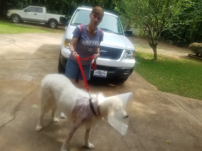 Southeastern Veterinary Specialty Center Picture 10