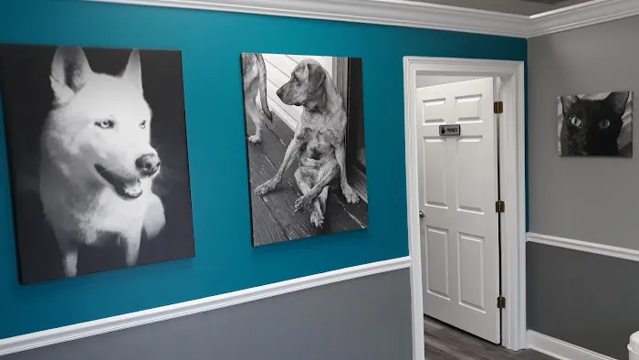 Rivertown Veterinary Emergency - After Hours Animal Clinic Picture 8