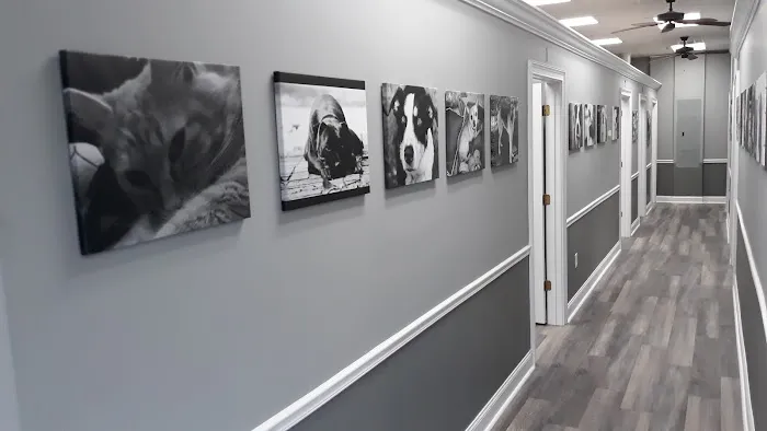 Rivertown Veterinary Emergency - After Hours Animal Clinic Picture 3