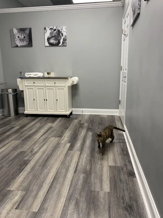 Rivertown Veterinary Emergency - After Hours Animal Clinic Picture 10