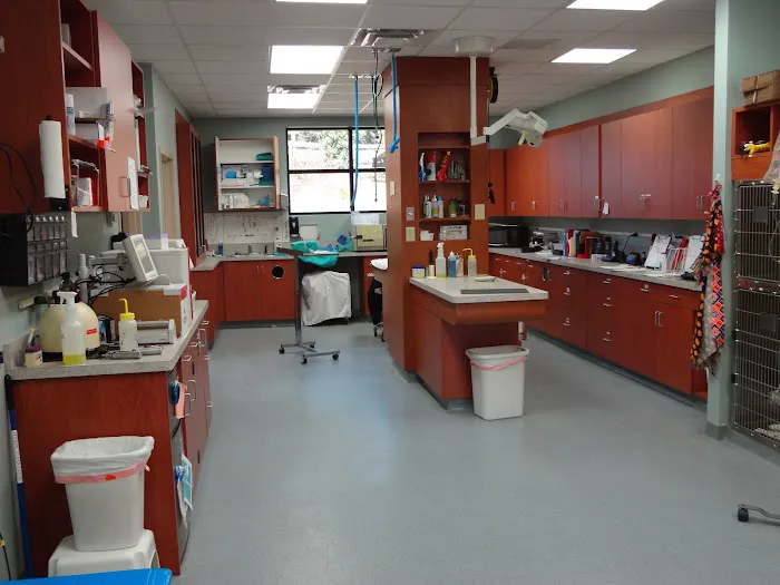 Double Churches Animal Clinic Picture 3